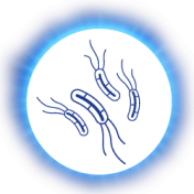 Tretmiento Helicobacter Pylori